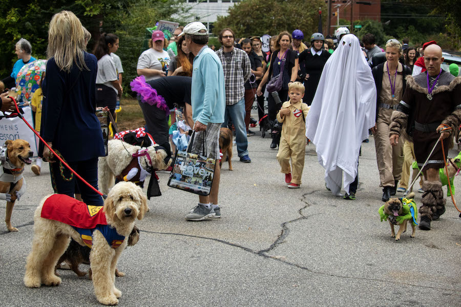 191013_wcc_boo-le-bark_132.jpg