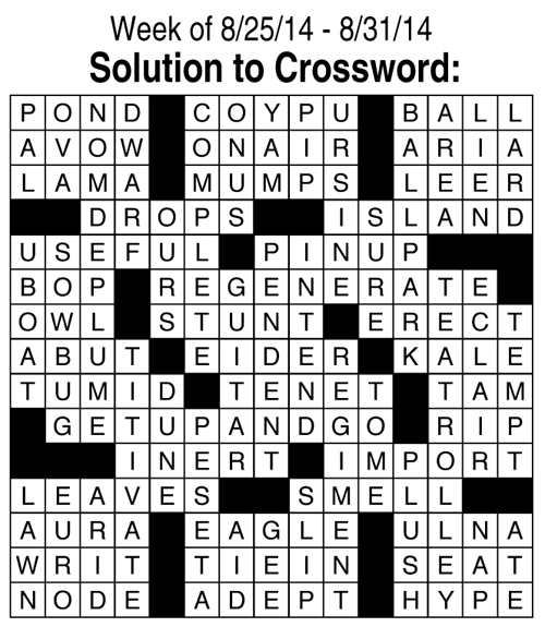 solution