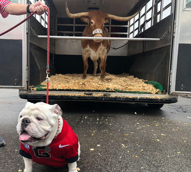 uga bevo.jpg