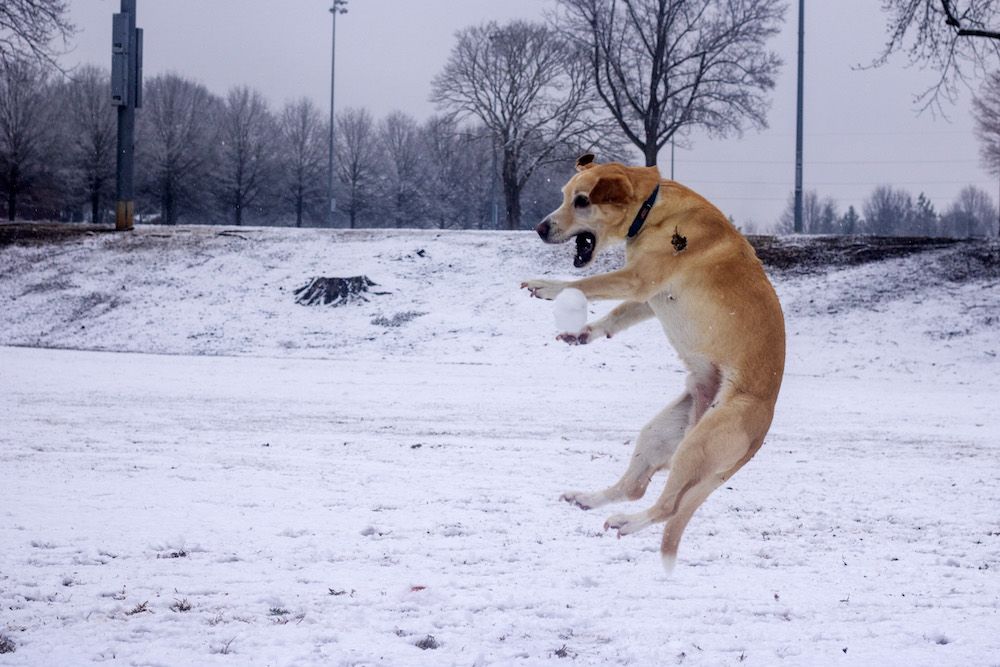 200208_wcc_snow day_092.jpg