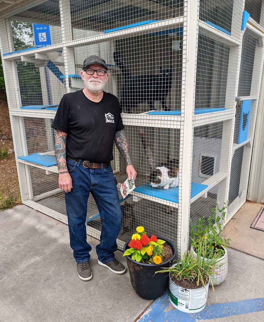 Catio bob 2025